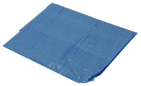 8 ft. 1 in. x 10 ft. 5 in. Blue Tarp